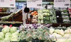 다사농수산물소비자센타슈퍼 | 폭염에 폭등한 농산물 가격, 소비자는 '한~숨만'