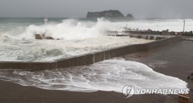 한층 강해진 파도