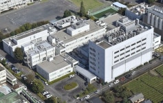 日수도권서 풍진 유행 조짐…임신부 등 여행자 주의해야