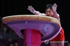 도마 연기 펼치는 김한솔