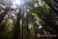 오대산 진고개∼동대산 구간 9월 한 달간 탐방예약제