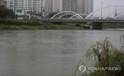 폭우로 불어난 전주천