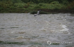 전북에 최대 269㎜ 폭우…토사 쏟아지고 농작물 침수 피해