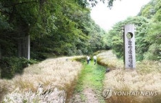 칠곡 한티순교성지 일대에 2020년까지 억새마을 조성