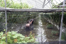 물 가득찬 비닐하우스