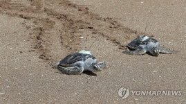 처음 만나는 바다