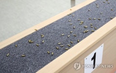 D-2 창원세계사격선수권 대회