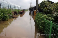 침수된 농로