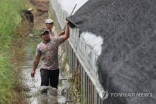 ［르포］추석 때 팔려했는데… 흙탕물 범벅된 비닐하우스