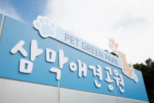 [경기소식] 안양 삼막애견공원 동절기도 개장
