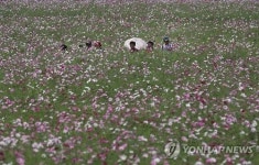 구리 시민이 축제 기획 '코스모스·평생학습' 통합