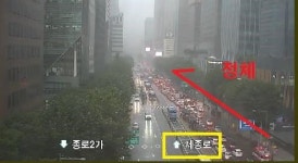 세종대로 사거리 인근 가로수 쓰러져…교통 혼잡