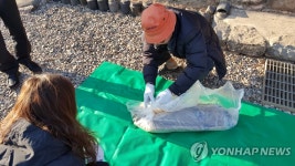 퇴계 이황 선생 친필 만장 출토