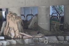 아수라장이 된 의정부 백석천변