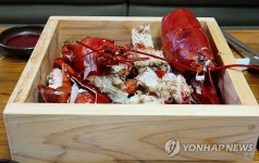 엠에스비전홈, 맛·건강 잡은 더크래프트 맞춤형 편백나무찜기 선보여