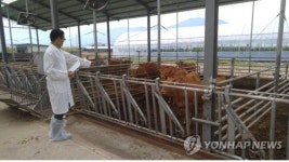[충남소식] 공주시, 전국 첫 당직 동물병원 운영