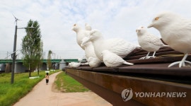 모든 새들이 함께 평화롭게