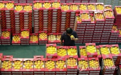 꼼꼼하게 품질 체크