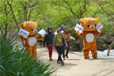 [전북소식] 순창군 8일 강천산서 걷기 행사