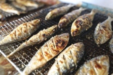 [길따라 멋따라] 전어 굽는 냄새 솔솔…김포 덕포진·대명포구 나들이