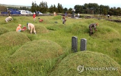 조상님 시원하게 벌초합니다