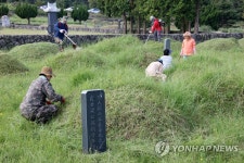 조상님 시원하게 벌초합니다
