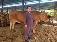 1천230㎏ 국내 최고 몸무게 한우