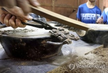 거푸집에서 막 꺼낸 금속활자