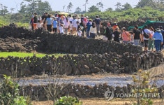 제주 밭담 축제