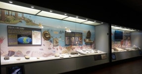 [대전소식] 지질박물관 무척추동물 화석 전시관 단장