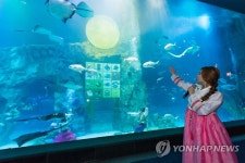 롯데월드 아쿠아리움, 한가위 맞이 특별 수중공연 진행