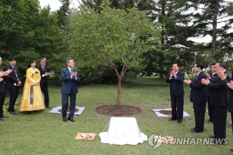 [평양정상회담] 문 대통령, 백화원초대소에 모감주나무 식수