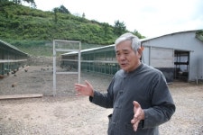 살충제 달걀 파동 1년…농장주 친환경 달걀 도전 멈추지 않아