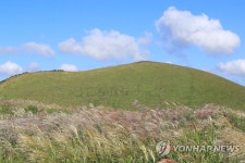 가을, 새별오름, 억새