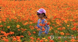 신나는 가을 나들이