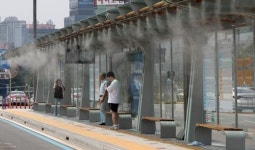 폭염 도시 경산·영천·대구 쿨링 숲벨트로 기온 낮춘다