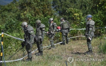 [르포] DMZ 지뢰 제거작업 현장을 가다…윙윙대는 소음에 '어질'