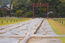 [길따라 멋따라] 도토리 떨어지는 소리…서삼릉·서오릉 나들이