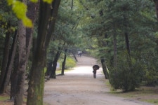 [길따라 멋따라] 도토리 떨어지는 소리…서삼릉·서오릉 나들이