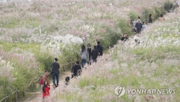 깊어가는 가을 정취