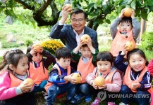 황실배 수확했어요