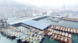 부산공동어시장 대표 선출 2차례 무산…해법은 없나