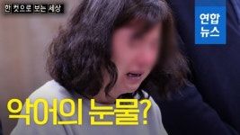 [한ㆍ보ㆍ세] 울며 공개 사과한 동탄 환희유치원 원장