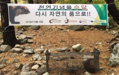 잘 살아…부모 잃은 수달 다시 소양강 자연의 품으로