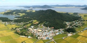 접경지역 강화도 화개산에 테마 정원 조성…190억 투입