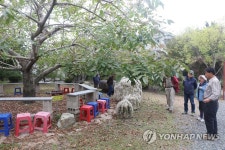 장흥 귀족호도박물관 찾은 관광객들