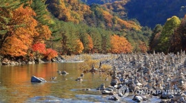 오색 단풍으로 물든 백담사