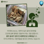 [카드뉴스] 마리화나 합법화, 어떻게 생각하시나요?