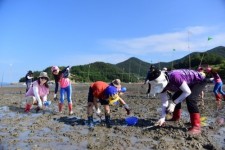 [어촌은 지금] ① 피조개로 일군 6차 산업…여수 안포마을