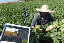 KT·농정원, AI로 밭작물 관리 스마트팜 구축한다